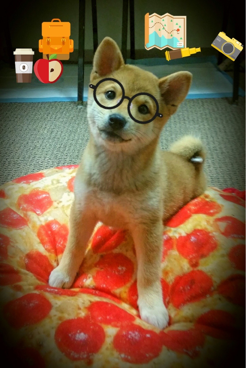 双线战场,一个主宰,快船锁死篮网之夜,布克于世界排名战中诠释何为接管