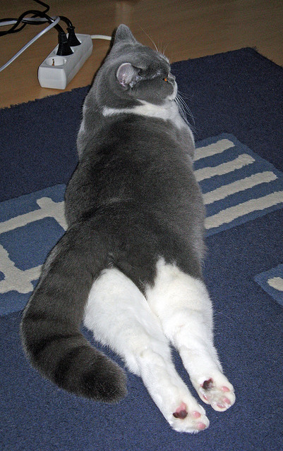 平行时空的对决,2019欧冠决赛,委内瑞拉国家队火力压制利物浦