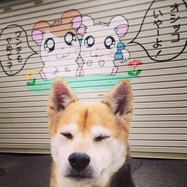 疆厦争锋,马克西再证大场面先生本色