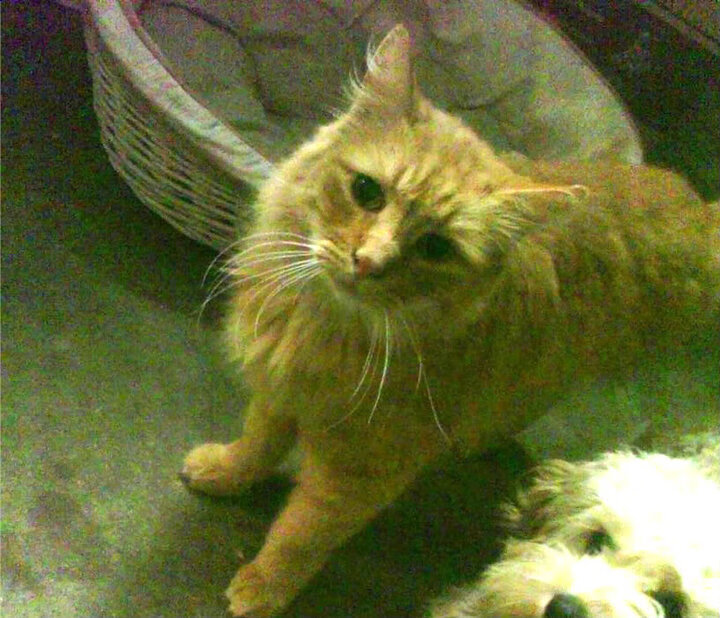 破冰之战，哈登末节15分导演逆转，开拓者终结十年淘汰赛魔咒