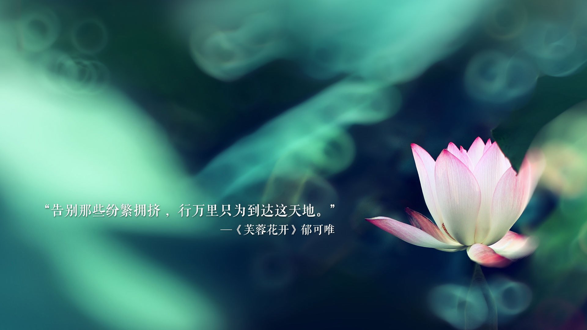 绿茵世界的唯一剧本,当巴西狂潮淹没卡塔尔,凯恩的旗帜在焦点战中猎猎作响